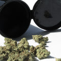Kush Master
